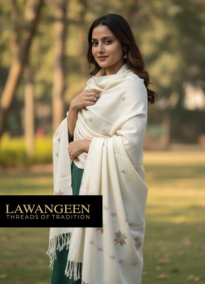 Pure Pashmina Shawl | Handcrafted Embroidery | Timeless Elegance