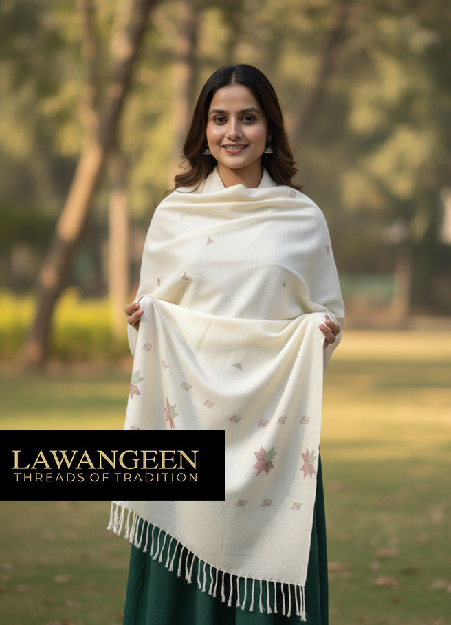 Pure Pashmina Shawl | Handcrafted Embroidery | Timeless Elegance